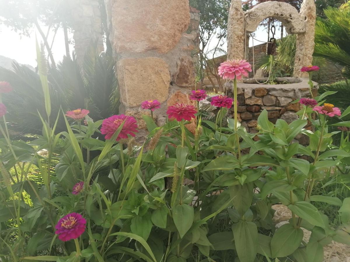 Villa Nonna Nina Capaci Εξωτερικό φωτογραφία