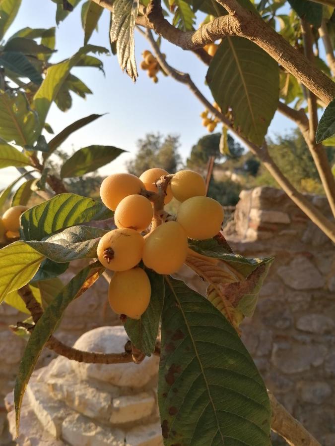 Villa Nonna Nina Capaci Εξωτερικό φωτογραφία