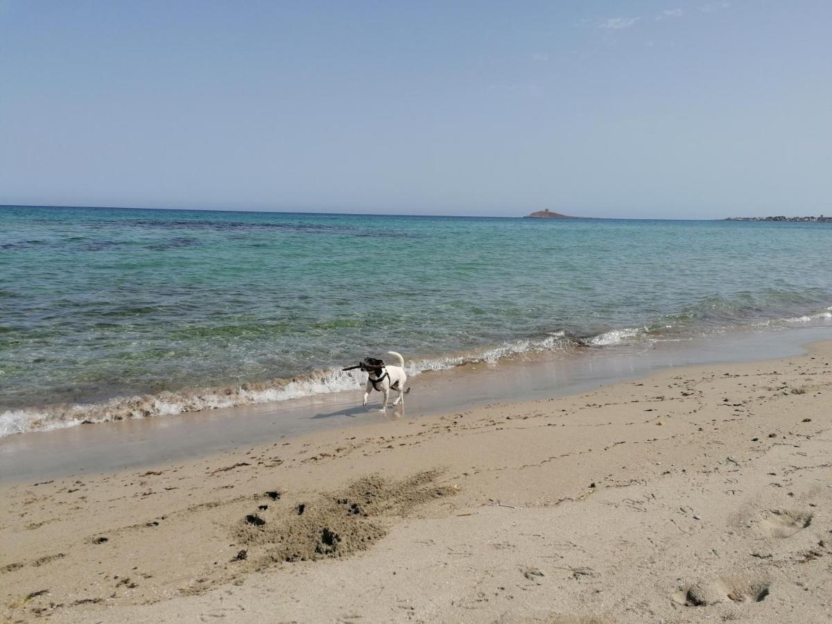 Villa Nonna Nina Capaci Εξωτερικό φωτογραφία