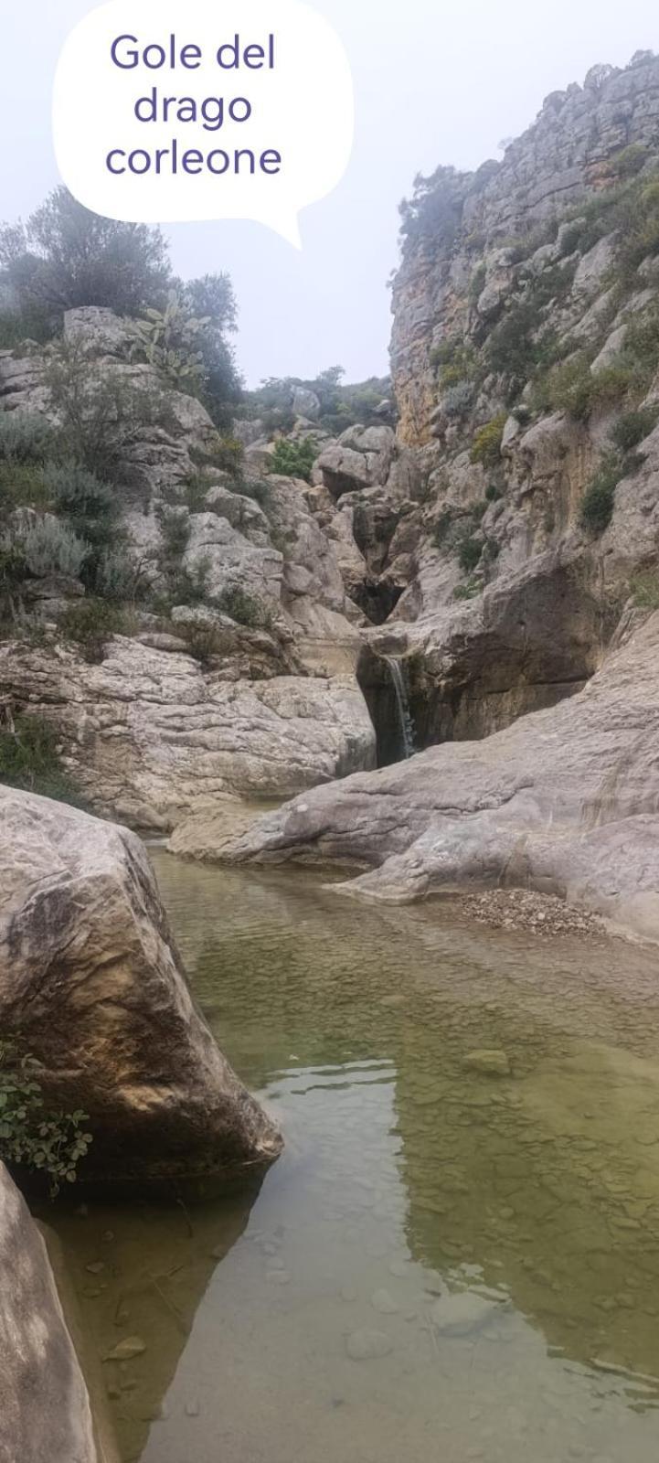 Villa Nonna Nina Capaci Εξωτερικό φωτογραφία